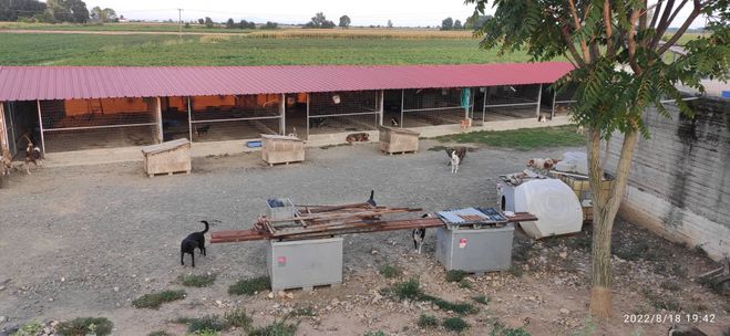 Spaß bei Seite.....wenn man von der Strasse kommt, haben die Hunde hier ihr Paradies gefunden