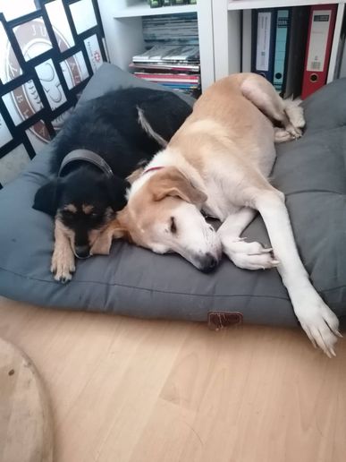 Isi und Naila