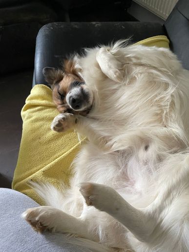 Sam