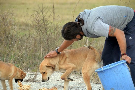 Wenn die Tiere glücklich sind ist es Panajioti auch
