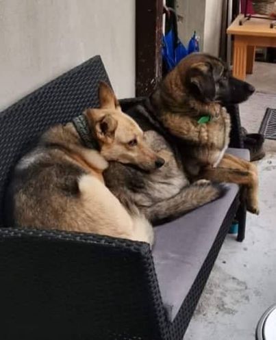 Bunny und Kalista