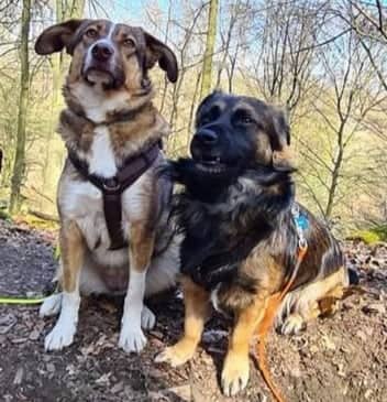 Velvet und Woody
