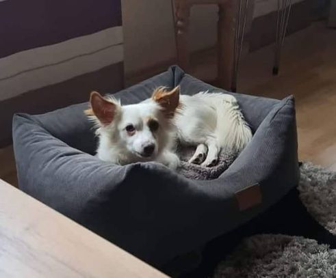 Chloe